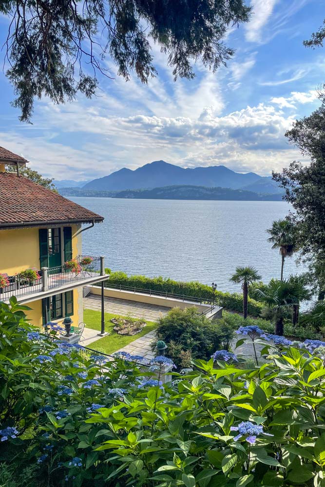 Hydrangeas in bloom in the hotel’s historic park on Lake Maggiore